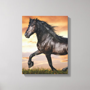 Beautiful Black Horse Canvas Print
