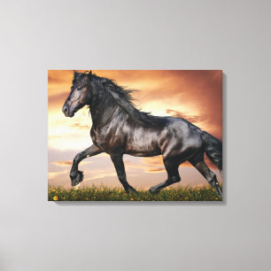 Beautiful Black Horse Canvas Print