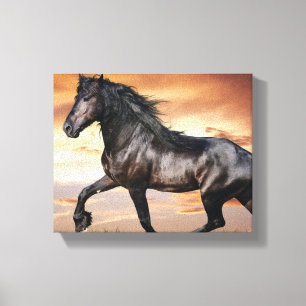 Beautiful Black Horse Canvas Print