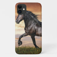 Beautiful Black Horse