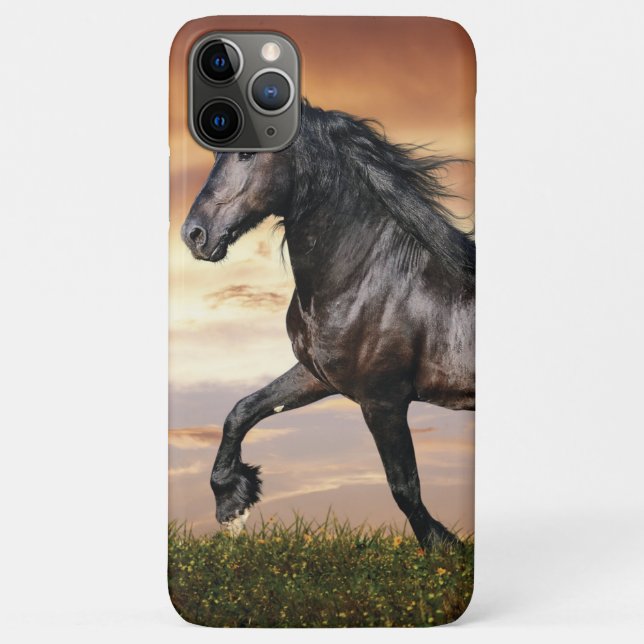 Beautiful Black Horse Case-Mate iPhone Case (Back)