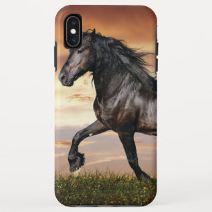 Beautiful Black Horse iPhone XS Max Case