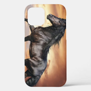 Beautiful Black Horse iPhone 12 Case