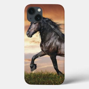 Beautiful Black Horse iPhone 13 Case