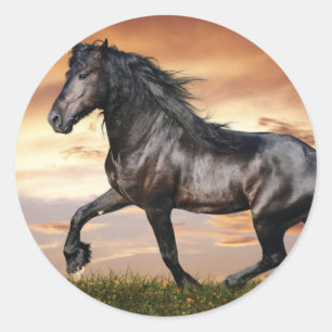 Beautiful Black Horse Classic Round Sticker