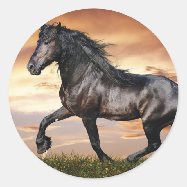 Beautiful Black Horse Classic Round Sticker (Front)
