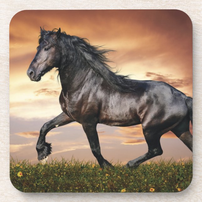 Beautiful Black Horse Coaster (Front)