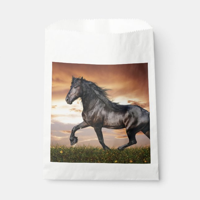 Beautiful Black Horse Favour Bag (Front)