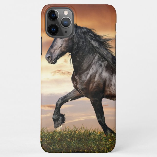 Beautiful Black Horse iPhone Case (Back)