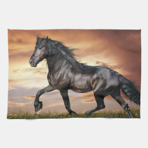 Beautiful Black Horse Kitchen Towel