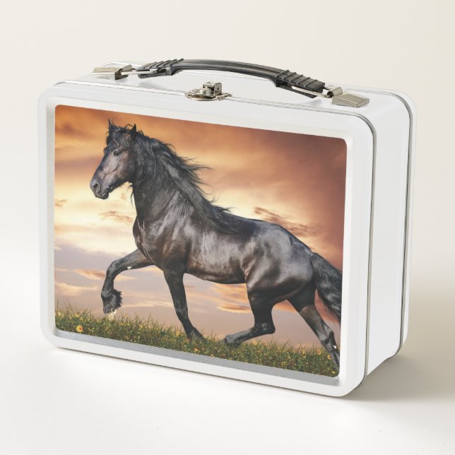 Beautiful Black Horse Metal Lunch Box (Front)