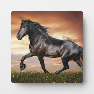Beautiful Black Horse Plaque