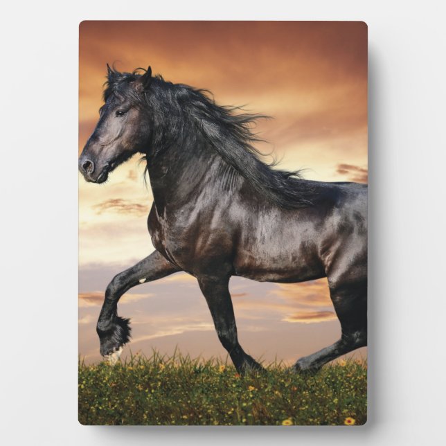 Beautiful Black Horse Plaque (Front)
