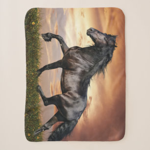 Beautiful Black Horse Sherpa Blanket