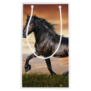 Beautiful Black Horse Small Gift Bag