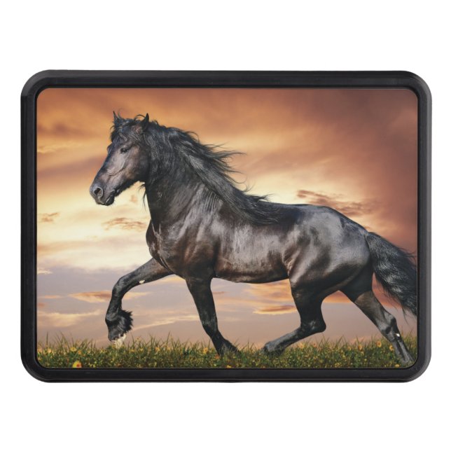Beautiful Black Horse Trailer Hitch Cover (Front)