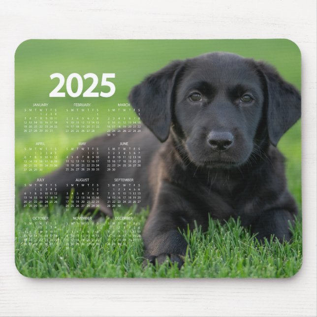 Beautiful Black Labrador 2025 Dog Calendar Mouse Pad (Front)