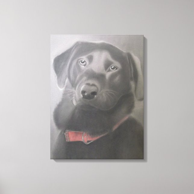 "Beautiful Black Labrador " Charcoal Drawing Canvas Print (Front)