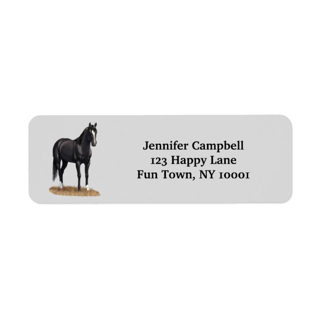Beautiful Black Quarter Horse Stallion (Front)