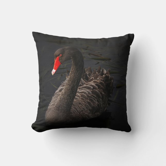 Beautiful Black Swan Floating on a River Throw Pillow (Front)