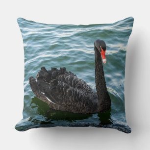Beautiful Black Swan Throw Pillow