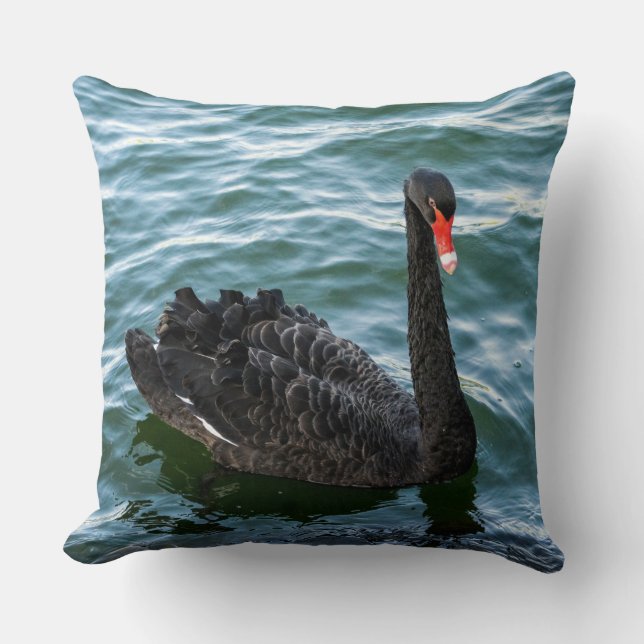 Beautiful Black Swan Throw Pillow (Front)