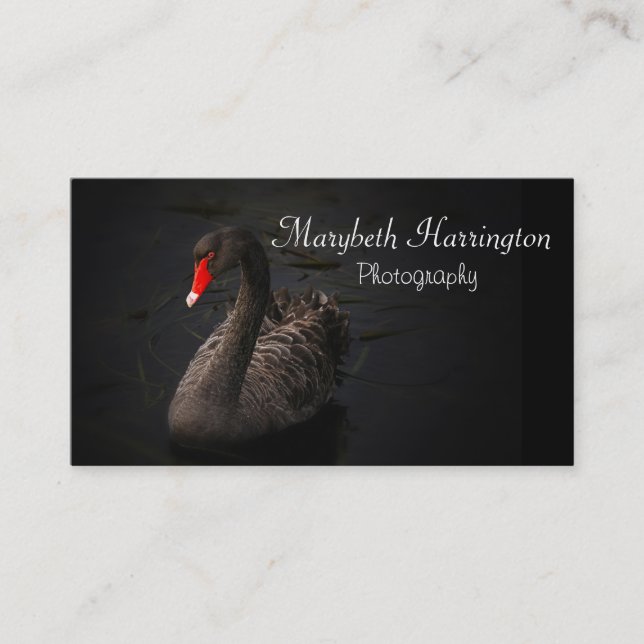 Beautiful Black Swan with a Bright Red Beak Business Card (Front)