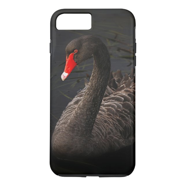 Beautiful Black Swan with a Bright Red Beak Case-Mate iPhone Case (Back)