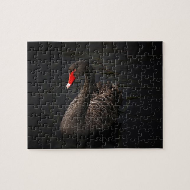 Beautiful Black Swan with a Bright Red Beak Jigsaw Puzzle (Horizontal)