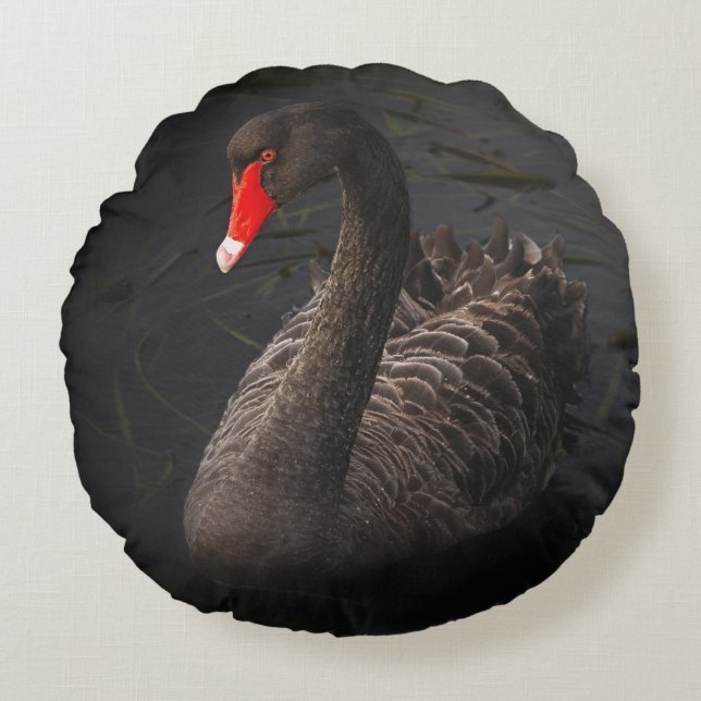 Beautiful Black Swan with a Bright Red Beak Round Pillow (Front)