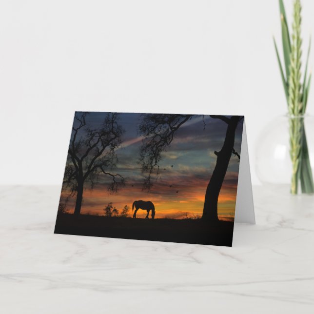 Beautiful Blank Horse Note Cards (Front)