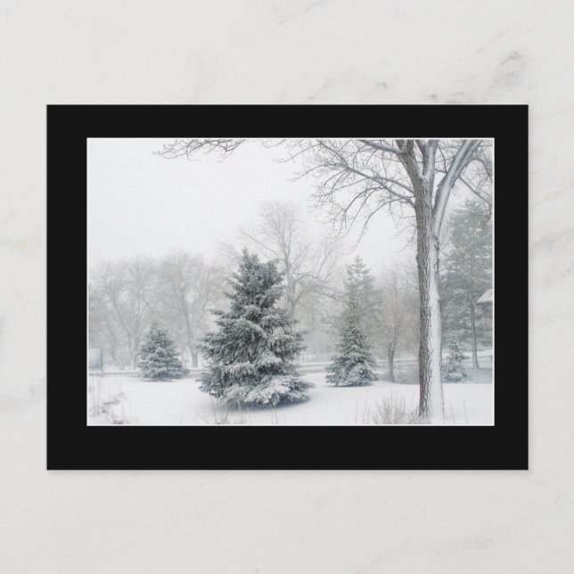 Beautiful Blizzard Postcard - Customized (Front)