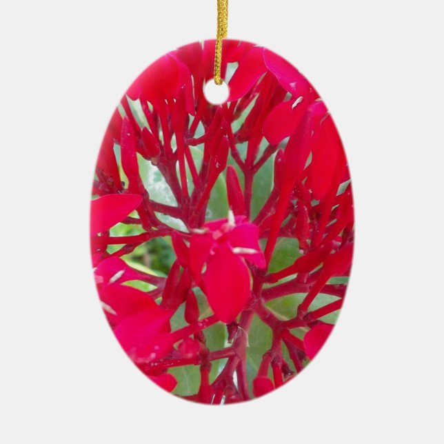 Beautiful Blood Flower Milkweed Art Print/Graphic Ceramic Ornament (Front)