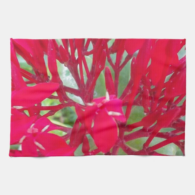 Beautiful Blood Flower Milkweed Art Print/Graphic Kitchen Towel (Horizontal)
