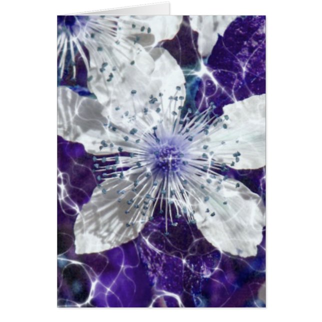 Beautiful Blossom Flower (Front)