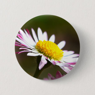 beautiful blossoms  petals romance romantic bridal 2 inch round button