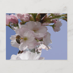 Beautiful Blossoms with Bee DIY Postcard