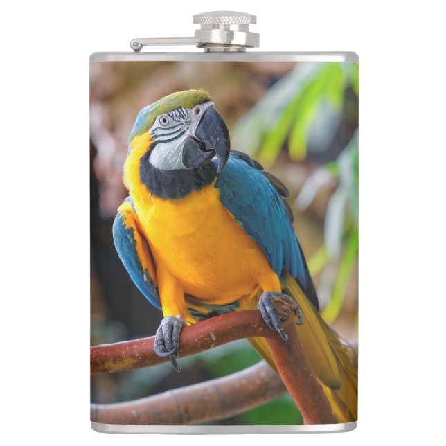 Beautiful Blue and Gold Macaw Hip Flask (Front)