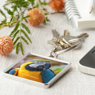 Beautiful Blue and Gold Macaw Keychain