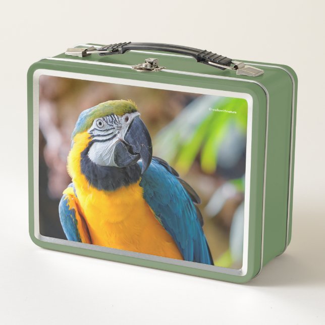 Beautiful Blue and Gold Macaw Parrot Bird Metal Lunch Box (Front)