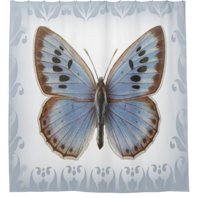 Beautiful Blue Butterfly (Front)