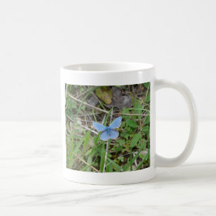 Beautiful Blue Butterfly Coffee Mug