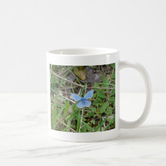 Beautiful Blue Butterfly Coffee Mug