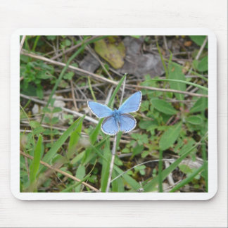 Beautiful Blue Butterfly Mouse Pad