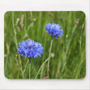 Beautiful Blue Cornflowers meadow flower design Mouse Pad