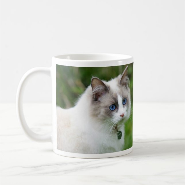 Beautiful Blue Eyed Ragdoll Kitten Coffee Mug (Left)