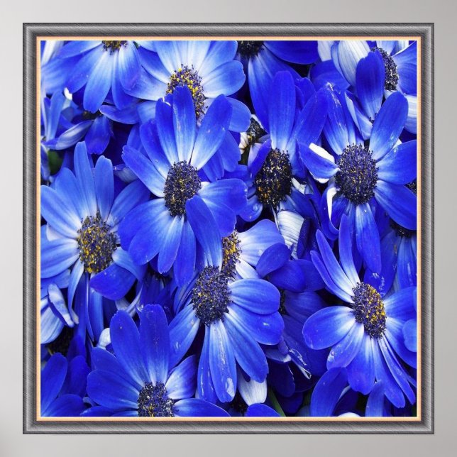 Beautiful Blue Flowers Poster (Front)