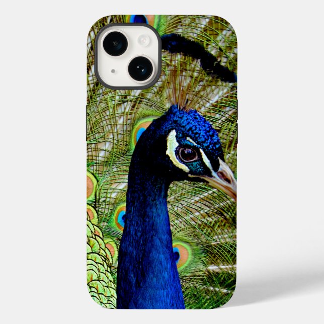 Beautiful Blue Green Peacock Bird Pretty Case-Mate iPhone Case (Back)