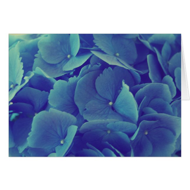 Beautiful Blue Hydrangea (Front Horizontal)
