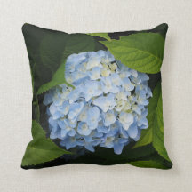 Beautiful Blue Hydrangea Floral Photo